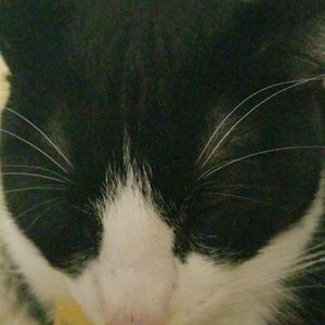 Meet your Posher, Jay